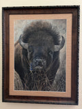 BISON ( ORIGINAL)