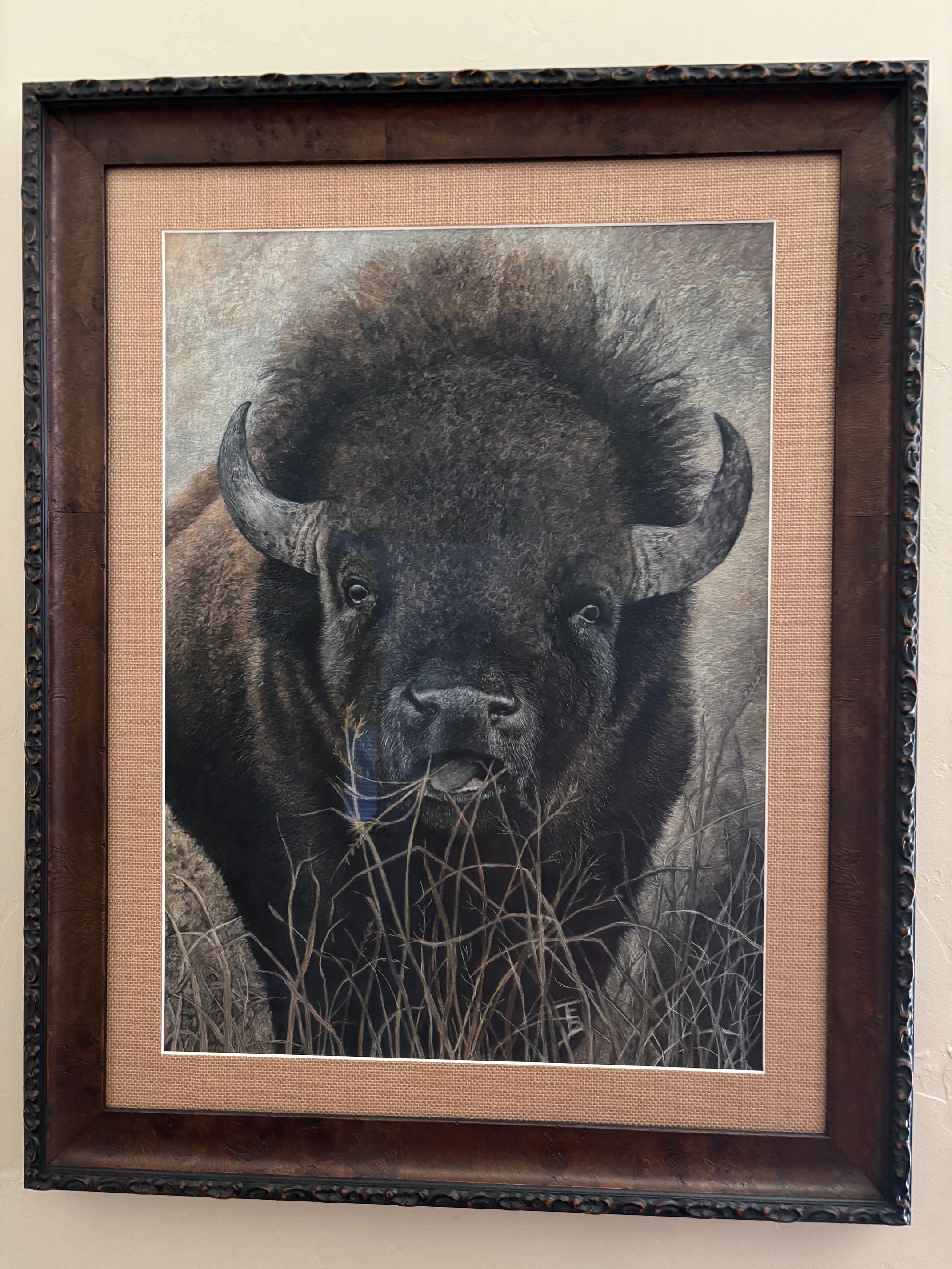 BISON ( ORIGINAL)