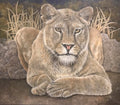 JUST LOOKING  ( ORIGINAL)