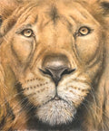 LIONS HEAD  PRINTS