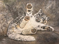 Playful Snow Leopard — Fine Art Prints